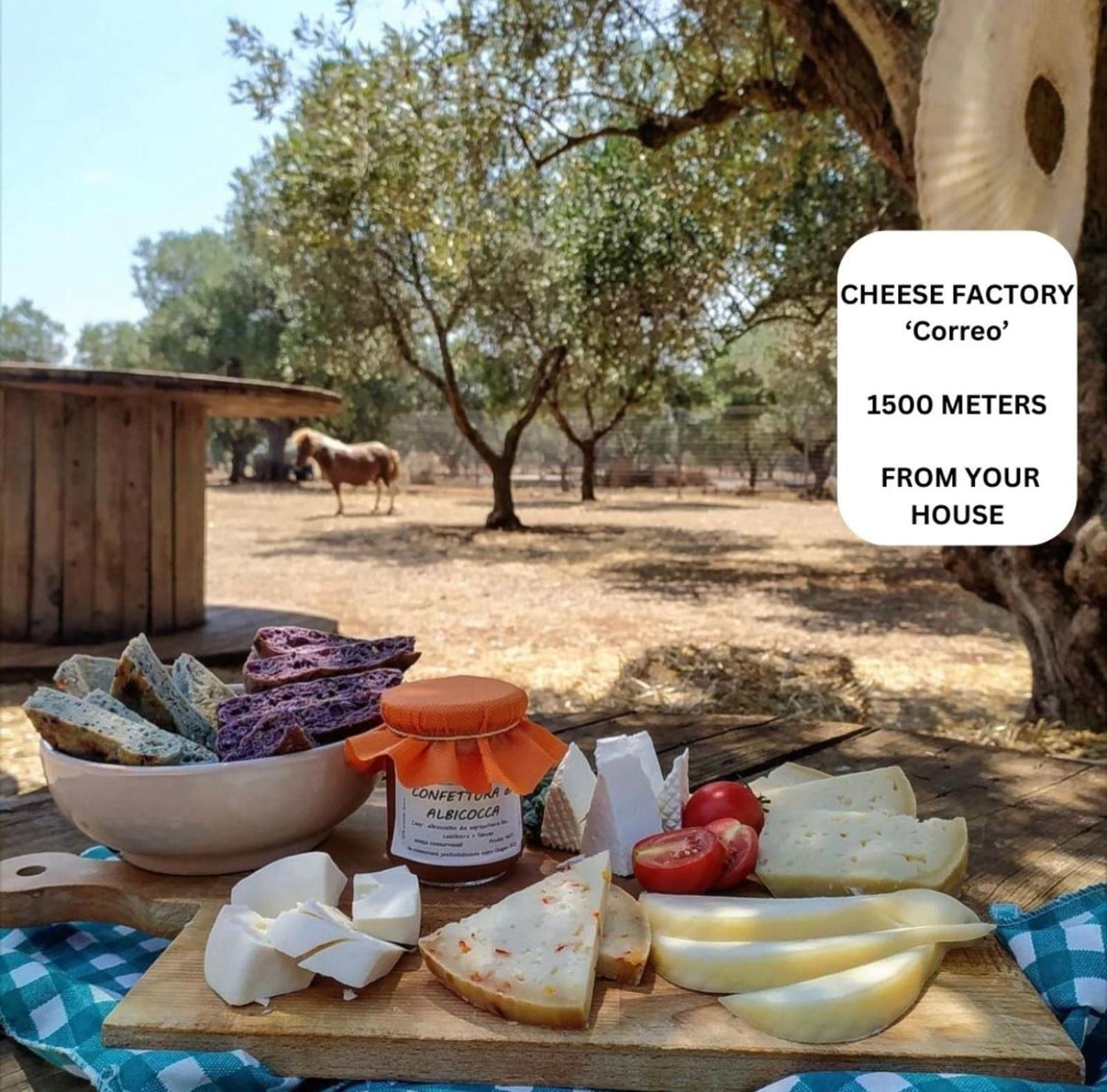 La Corte Della Masseria Сан Вито дей Нормани Екстериор снимка