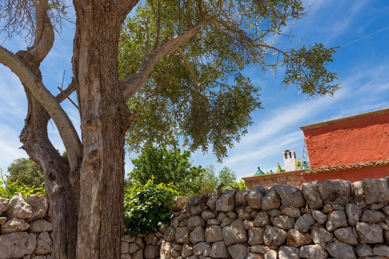 La Corte Della Masseria Сан Вито дей Нормани Екстериор снимка